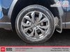 Toyota RAV4 Hybrid LIMITED 2024-6