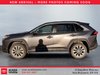 2024 Toyota RAV4 XLE-2