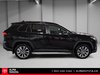 2019 Toyota RAV4 XLE PREMIUM-3