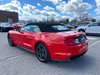 2022 Ford Mustang Ecoboost Convertible-6