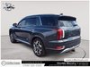 2021 Hyundai Palisade Ultimate Calligraphy-3