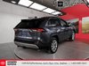 2025 Toyota RAV4 LIMITED-3