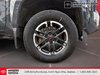 Toyota Tacoma TRD SPORT 2024-25