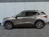 Ford Escape PHEV NAVIGATION 2024-4
