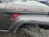 Jeep Gladiator Willys 2021-4