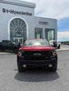 2022 Chevrolet Silverado 1500 LTD LT Trail Boss-4