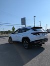 2023 Hyundai Tucson Hybrid Luxury-1