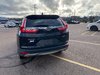 2019 Honda CR-V EX-L-2