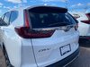 2021 Honda CR-V LX-4