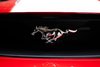 2003 Ford Mustang Mach 1-2