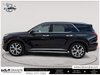 2020 Hyundai Palisade Luxury-2
