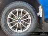 2019 Ford F-150 XLT-6