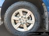 2024 Ford F-150 XLT-6