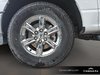 2025 Ford F-150 XLT-6