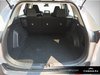 2025 Toyota RAV4 LE-5