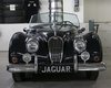 Jaguar Unlisted Item  1955-3