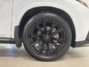 2024 Lexus NX 350-18