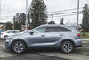 2020 Kia Sorento EX V6-5