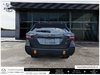 2023 Subaru Outback Wilderness-2