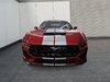 Ford Mustang GT // PREMIUM // CONVERTIBLE 2024-1