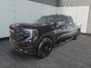 GMC Sierra 1500 X31 // ELEVATION // V8 // 5.3L 2025-0