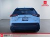 Toyota RAV4 XLE 2023-2