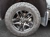 Chevrolet Silverado 1500 Custom Trail Boss 2024-5