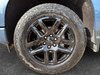 Chevrolet Silverado 1500 Custom 2024-5