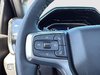 Chevrolet Silverado 1500 LT Trail Boss 2025-13