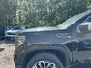 GMC Sierra 1500 DENALI ULTIMATE 2026-3