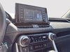2019 Toyota RAV4 LE-15