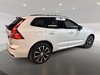 Volvo XC60 B5 PLUS CUIR TOIT PANO NAV 4RM 2025-3
