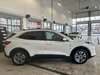 2021 Ford Escape SEL-4