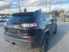 Jeep Cherokee Trailhawk 2020-3