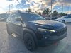 Jeep Cherokee Trailhawk 2020-4