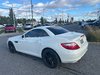 2013 Mercedes-Benz SLK-Class SLK 250-16