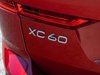 2019 Volvo XC60 Inscription-6