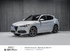 Alfa Romeo Stelvio TI SPORT ASSIST CONDUITE HARMAN KARDON ROUES 20po 2020-0