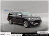 2021 Ford Expedition Max Platinum-6