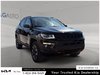 2020 Jeep Compass Trailhawk-6