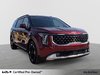 2026 Kia Carnival EX+-6