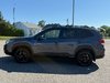 2024 Subaru Forester Wilderness-9
