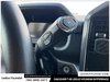 2025 Ford F-150 XLT-17