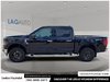 2025 Ford F-150 XLT-4