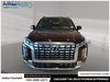 2024 Hyundai Palisade Ultimate-1