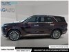 2024 Hyundai Palisade Ultimate-4