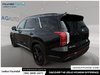 2025 Hyundai Palisade Urban-3