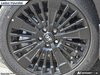 2026 Hyundai Santa Fe Hybrid Ultimate Calligraphy Beige-6
