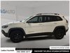 2020 Jeep Cherokee Trailhawk-4