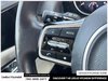 2024 Kia Carnival EX-19
